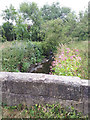 Bridge over the Wyke Beck