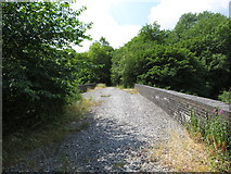 SK1172 : Disused railway viaduct near Wye Dale by Gareth James