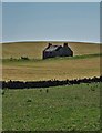 Ruin of a croft with Bere Hill beyond