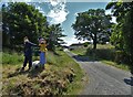 Scarecrows by the entrance to Cowans Farm