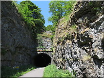 SK1672 : Monsal Trail: cutting and eastern portal of Litton Tunnel by Gareth James