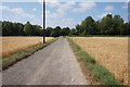 Farm track towards Chapel Lane