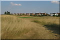 New housing by the golf course