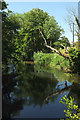 River Nadder from Horse Shoe Bridge