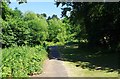 SO9283 : Footpath in Stevens Park, Wollescote, Stourbridge by P L Chadwick