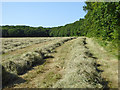 Mown hay, Hicks Forstal