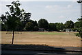 Thames Ditton Cricket Club