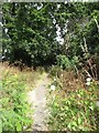 Footpath, Eastcliff Sports Ground