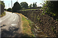 ST4849 : Laneside stream, Rodney Stoke by Derek Harper
