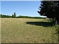 Field beside Baunton Lane