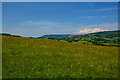 West Somerset : Countryside Scenery