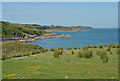 Loch Ewe coastline near Cove