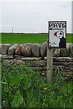 HY4942 : Puffins this Way by Anne Burgess