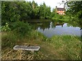 Village pond at Crowle Green