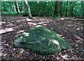 SK3283 : Ancient rock carving in Ecclesall Woods by Neil Theasby
