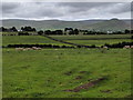 NY6626 : Farmland and the Pennines in the distance by Rob Purvis