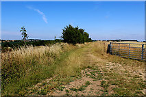 SE4738 : Battlefield Trail by Chris Heaton