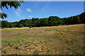 Grassland near Sugar Hill Mount, Leeds