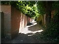 Saffron Walden, Footpath Rear of Saxon Way