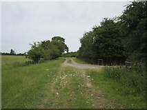 SK6222 : Bridleway to Narrow Lane by Jonathan Thacker