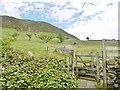 D2105 : Slemish, kissing gate by Mike Faherty