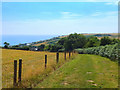 Path at Lower Eype