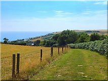 SY4491 : Path at Lower Eype by Gary Rogers