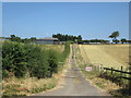 Lane to Sheephills Farm