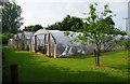 Group of polytunnels and greenhouses near Bampton, Oxon