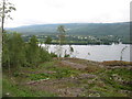 Forested slopes above Loch Ness