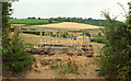 Gate near Frost Farm