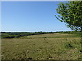 Field near Treven Farm