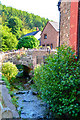 Kingsbridge : Small Stream