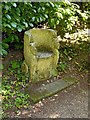 SK4924 : Chinese Garden, Whatton House, stone seat by Alan Murray-Rust