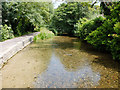 The River Frome near John