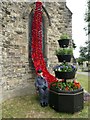 A cascade of poppies at St Mark