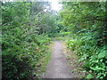 Deepdale Woods Nature Reserve