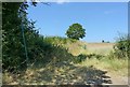 Footpath to Kegworth