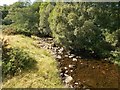 Burn of Tervie, looking downstream