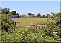 Overgrown gateway at Mid Borland farm