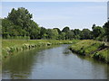 The River Ember east of Island Barn Reservoir (2)