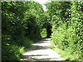 Track to the north of Island Barn Reservoir