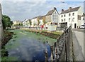 Newry Canal Wild Life Refuge at Merchant