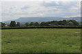 A View Westwards towards Pendle Hill