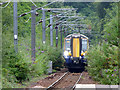 Train approaching Fairlie station