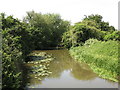 The River Mole west of Ray Road