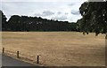 Cricket Ground