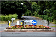 H4772 : Floral display, Cranny Roundabout by Kenneth  Allen