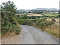 View eastwards towards a bend in the Molly Road