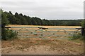 Field gates, West Barsham